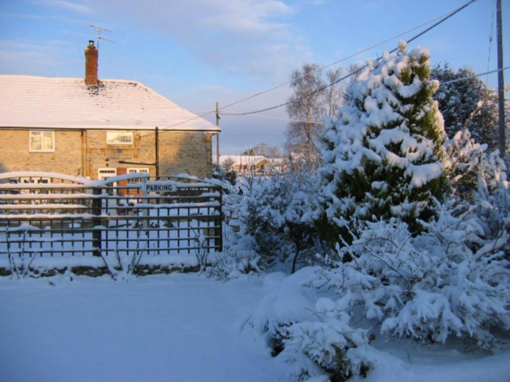 Halstock Quiet Woman House Bed & Breakfast エクステリア 写真